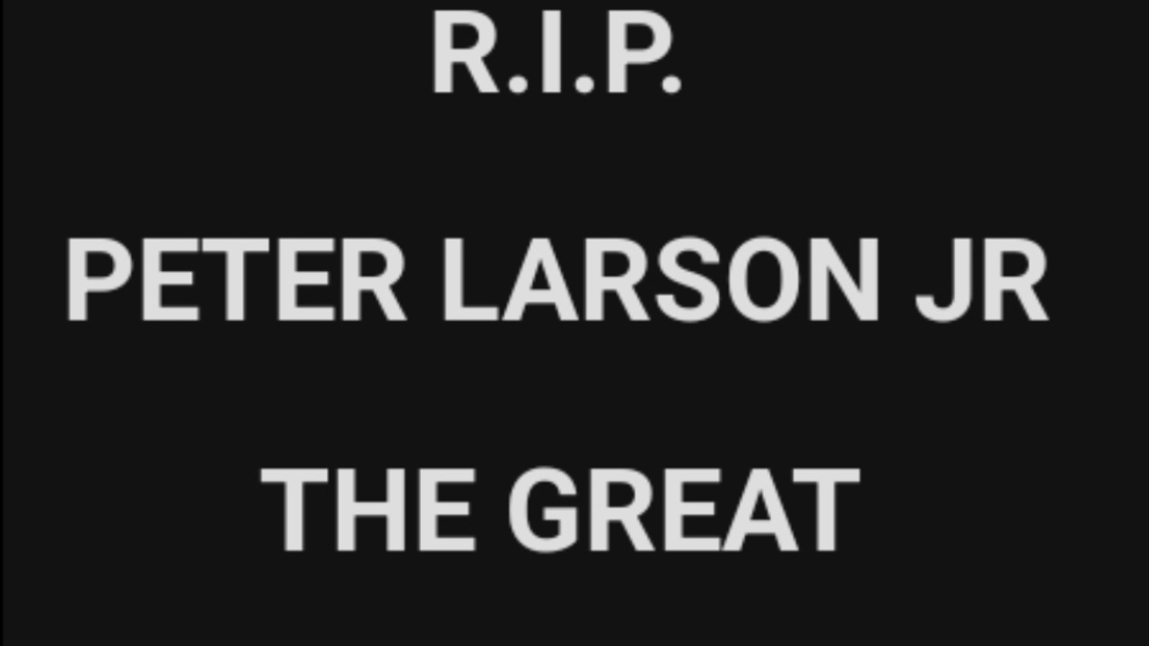 Funds for PETER LARSON JR