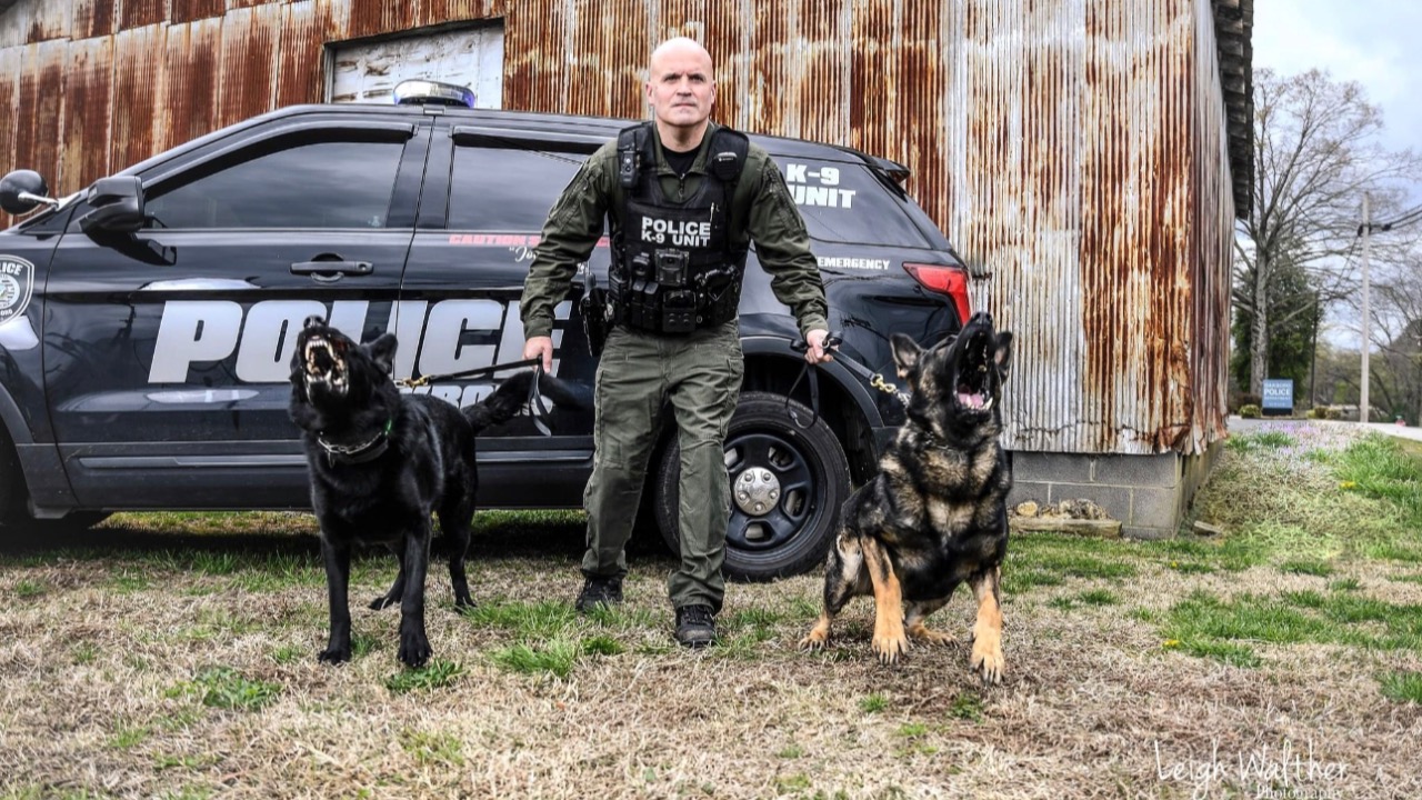 Support for K-9 Joker & K-9 Bane