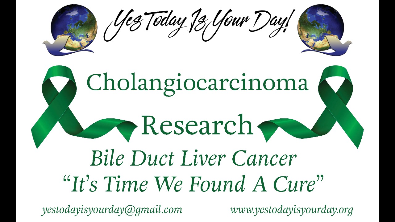 Yes Today Is Your Day Liver Cancer Research